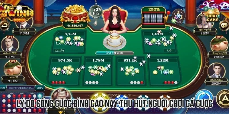 Lý do cổng cược đỉnh cao này thu hút người chơi cá cược Lý do cổng cược đỉnh cao này thu hút người chơi cá cược