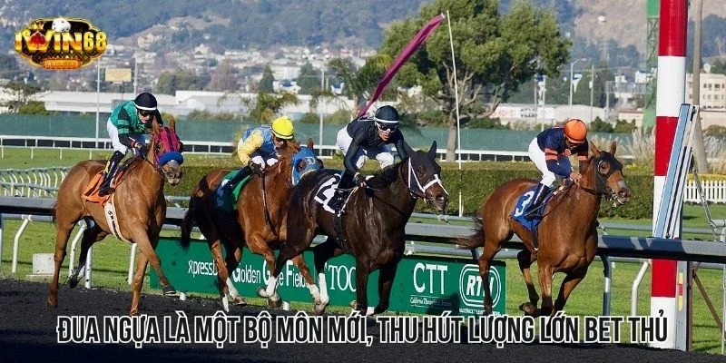 Đua ngựa là một bộ môn mới, thu hút lượng lớn bet thủ Đua ngựa là một bộ môn mới, thu hút lượng lớn bet thủ