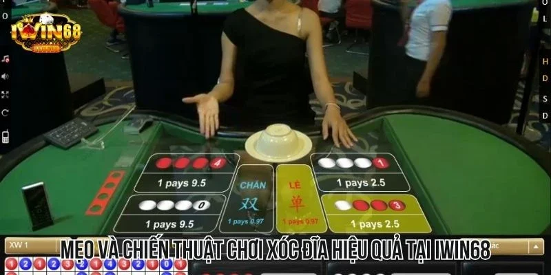 Mẹo và chiến thuật chơi xóc đĩa hiệu quả tại IWIN68 bạn nên thử Mẹo và chiến thuật chơi xóc đĩa hiệu quả tại IWIN68 bạn nên thử