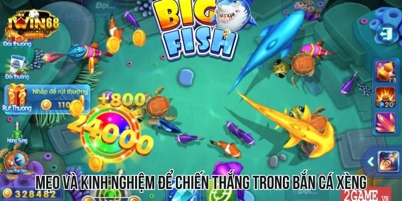 Mẹo và kinh nghiệm để trở thành người chiến thắng trong bắn cá đổi thưởng xèng Mẹo và kinh nghiệm để trở thành người chiến thắng trong bắn cá đổi thưởng xèng